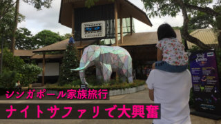 シンガポール動物園 子連れ旅行で行くならワゴンレンタルがおすすめです 福岡のタレント ハル公式サイト